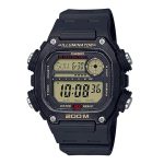 ساعت مچی مردانه کاسیو مدل CASIO-DW-291H-9AVDF