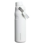 فلاسک استنلی مدل 16oz