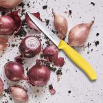 چاقو آشپزخانه ویکتورینوکس مدل 6.7736.L8