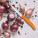 چاقو آشپزخانه ویکتورینوکس مدل 6.7736.L9