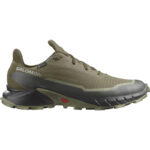 کفش سالومون مدل ALPHACROSS 5 GORE-TEX 473103