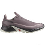 کفش سالومون مدل ALPHACROSS 5 GORE-TEX W 473110