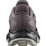 کفش سالومون مدل ALPHACROSS 5 GORE-TEX W 473110