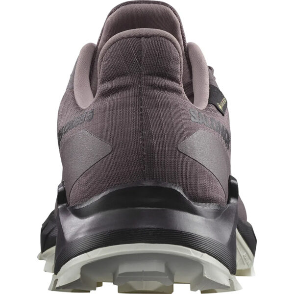 کفش سالومون مدل ALPHACROSS 5 GORE-TEX W 473110