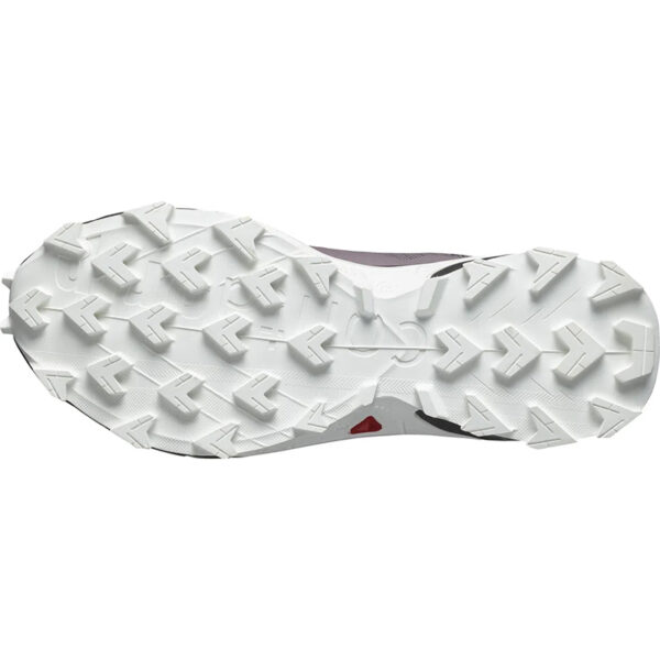 کفش سالومون مدل ALPHACROSS 5 GORE-TEX W 473110