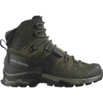 کفش سالومون مدل QUEST 4 GORE-TEX 412925