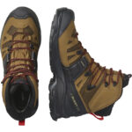کفش سالومون مدل QUEST 4 GORE-TEX 471564