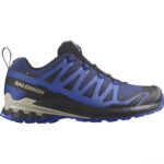کفش سالومون مدل XA PRO 3D V9 GORE-TEX 472703