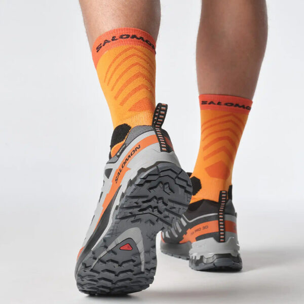 کفش سالومون مردانه 478175 XA PRO 3D V9 GORE-TEX