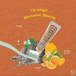 خمیردندان مارویس مدل Orange blossom bloom 75 ml